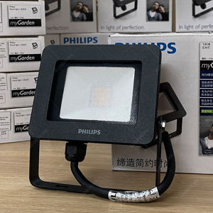 Đèn pha led ngoài trời Philips 17341 10W 2700K