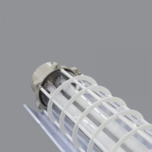 Đèn phòng chống nổ EEW BPY2x36W