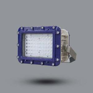 Đèn phòng chống nộ ELL601-100 Paragon 100W