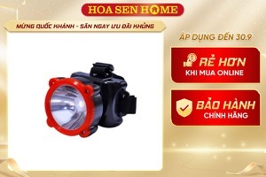 Đèn pin đội đầu Điện Quang ĐQ PFL11