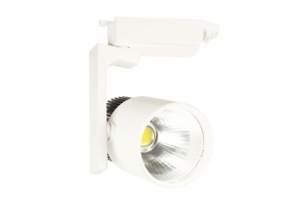 Đèn rọi ray led Kingled DTL-15M 15W