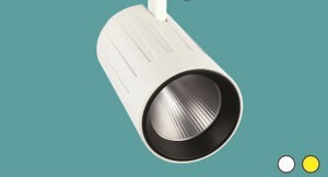 Đèn rọi ray SL 534 cob 30W