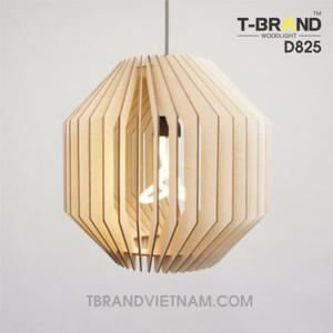 Đèn thả D825