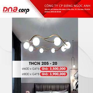 Đèn thả THCN 205-20