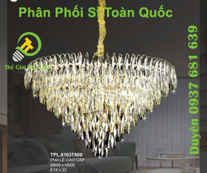 Đèn thả TPL8163T800