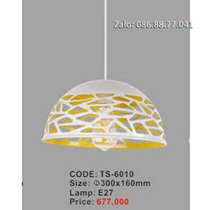Đèn Thả Trang Trí TS-6010