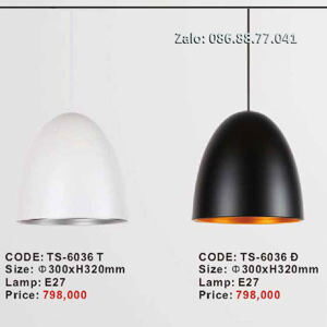Đèn Thả Trang Trí TS-6036