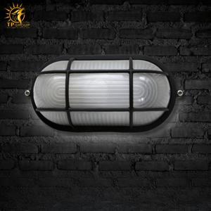 Đèn treo tường gắn tường VNT9503