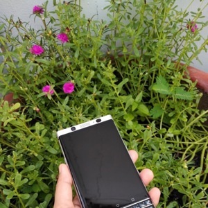 Điện thoại Blackberry Key One - 4GB RAM, 64 GB, 4.5 inch