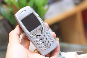 Điện thoại Nokia 6100