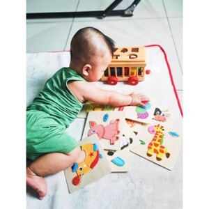Đồ chơi gỗ xe cũi thả hình Gold Cat