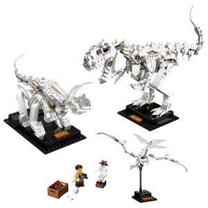 Đồ chơi lắp ráp Lego Ideas 21320 Dinosaur Fossils