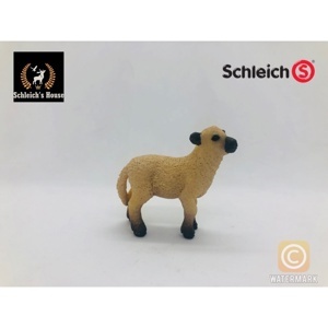 Mô hình Cừu con Shropshire Schleich 13682