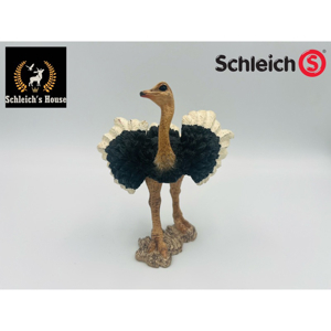 Mô hình Đà điểu bố Schleich 14610