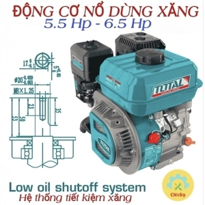 Động cơ nổ xăng Total TGEN1681