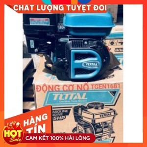 Động cơ nổ xăng Total TGEN1881