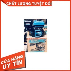 Động cơ nổ xăng Total TGEN1881