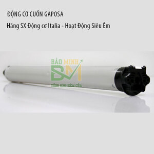 Động cơ rèm cầu vồng Raex TD400