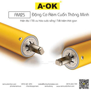 Động cơ rèm cuốn AOK AM25