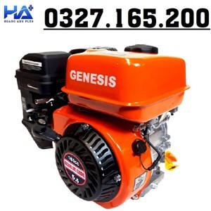 Động cơ xăng Genesis GS160RC