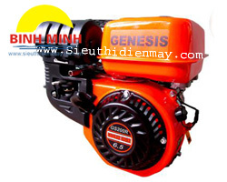 Động cơ xăng Genesis GS200R