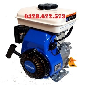 Động cơ xăng Hyundai HGE100 - 3HP