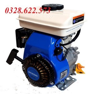 Động cơ xăng Hyundai HGE100 - 3HP