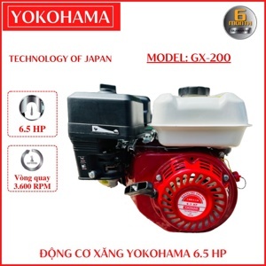 Động cơ xăng Yokohama GX200 (6,5HP)