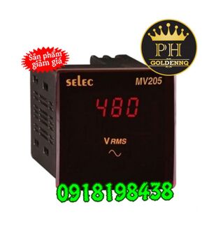 Đồng hồ đo Volt Selec MV205