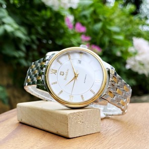 Đồng hồ nam Bestdon BD7102G