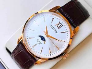 Đồng hồ nam Citizen AK5003-05A