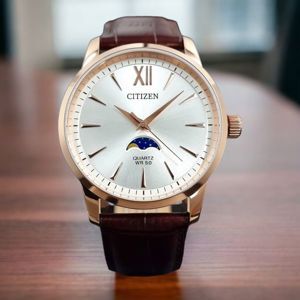 Đồng hồ nam Citizen AK5003-05A