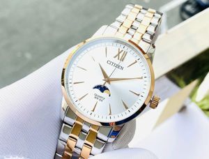 Đồng hồ nam Citizen AK5006-58A