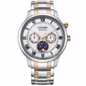 Đồng hồ nam Citizen AP1054-80A