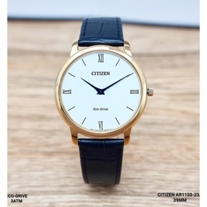 Đồng hồ nam Citizen AR1133-23A