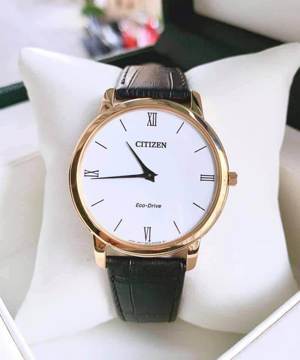 Đồng hồ nam Citizen AR1133-23A