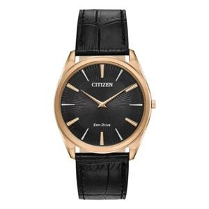 Đồng hồ nam Citizen AR3073-06E