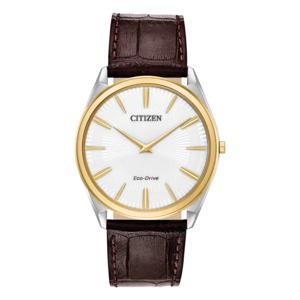 Đồng hồ nam Citizen AR3074-03A