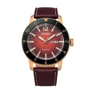 Đồng hồ nam Citizen AW0079-13X