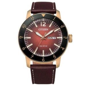 Đồng hồ nam Citizen AW0079-13X