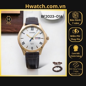 Đồng hồ nam Citizen BF2023