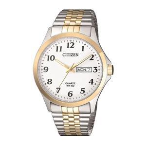 Đồng hồ nam Citizen BF5004-93A