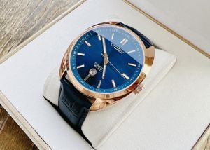 Đồng hồ nam Citizen BI5093-01L