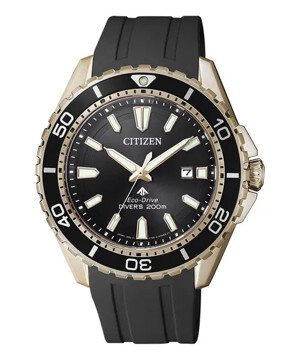 Đồng hồ nam Citizen BN0193-17E