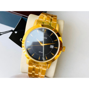 Đồng hồ nam Citizen DZ0012-56E