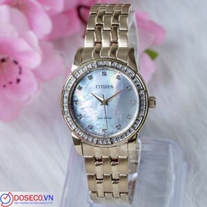 Đồng hồ nam Citizen EM0773-54D