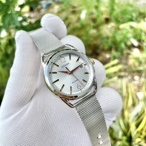 Đồng hồ nam Citizen FE6088-87A