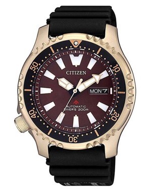 Đồng hồ nam Citizen NY0083-14X