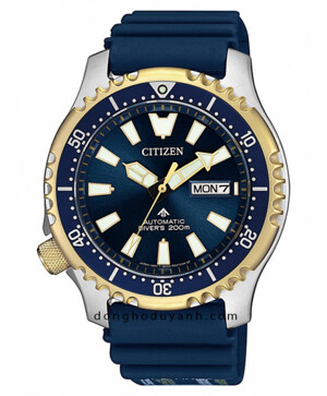 Đồng hồ nam Citizen NY0096-12L