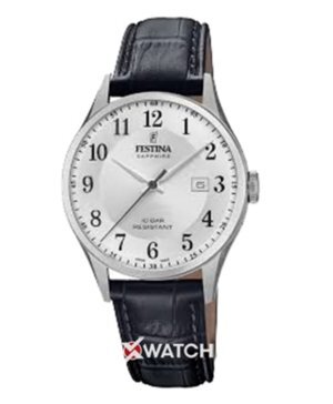 Đồng hồ nam Festina F20007